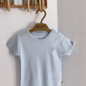 IMG 2632
